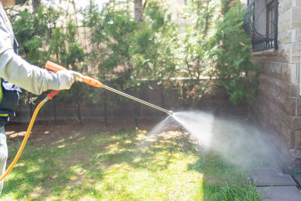 Best Lawn Pest Control  in Buchanan, GA